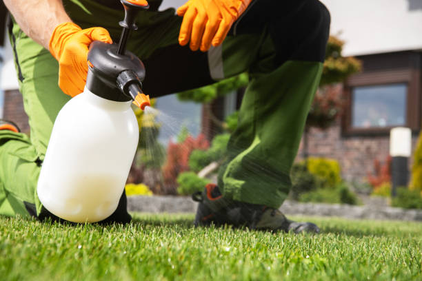 Pest Prevention Services in Savannah, TN