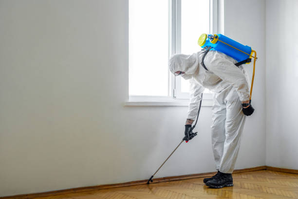 Flea Control Services in Savannah, TN