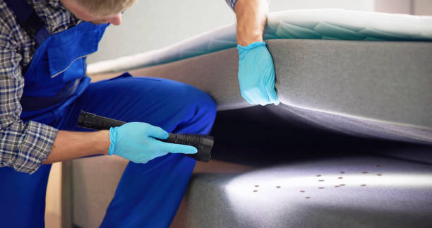 Best Emergency Pest Control  in Savannah, TN