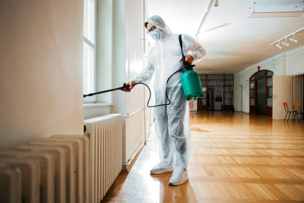 Best Termite Control Services  in Savannah, TN