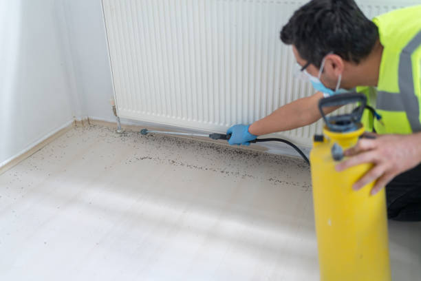 Best Pest Inspection Near Me  in Savannah, TN