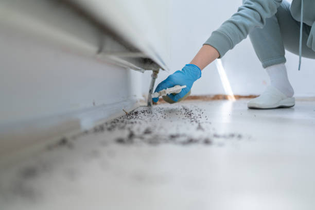 Best Mosquito Control Services  in Savannah, TN